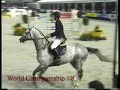 Talented 6y old stallion Adorado (Acorado) at World Breeding Championship '08