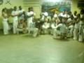 videos de André.laércio.zebu e boto...