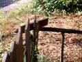 videos de Legambiente Parco Capoprati - Ponte della Musica