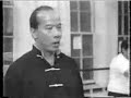 Norman Chin, Jook Lum Southern Mantis Interview