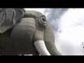 NJN Documentary Our Vanishing Past - Lucy the Elephant