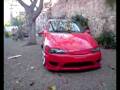 New Style tigra