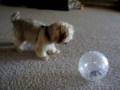 videos de Lucy and Macie 
