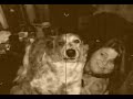 My dog Lucy