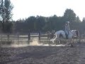 Horses Jumping - Caity And TJ Horses Jumping - Caity And TJ