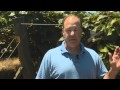 Are All The Stories About Farmers Spraying Pesticides True?