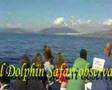 Whale Watching Avistamiento de Cetaceos Gibraltar Strait