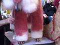 Dog Grooming, The Styling Academy