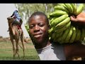 Paradise - A Journey Across Africa