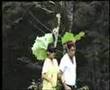 Mazandarani-Halimeh