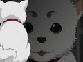 【銀魂MAD】ぎんたまっど「晴れてハレルヤ」