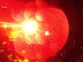 J Majik @ BassRush-pt.6