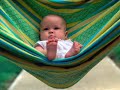 BEBES - PAZ, PEACEFULL - 2 / 6