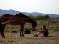 Un Cheval QUi Fait l'Ane