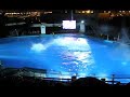 Dolphin Show at L\