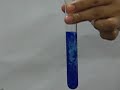 Testing cation - copper with aq NH4