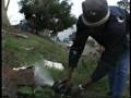 Water privatization in South Africa