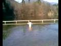 ScHweiNi schWimmT