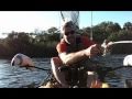 Line breaks, but I manage to land the huge Snook anyway!
