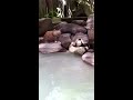 Click here to watch this video 蔵王温泉～ホテル喜らくさん、露天風呂