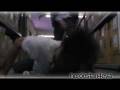 videos de Heroes Season 3 Episode 11 Recap