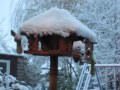 Winterfütterung