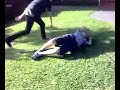 Emo VS Random Neighbour (Daniel vs Alec)