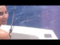 Barracuda caught off Key West coast Barracuda caught off Key West coast