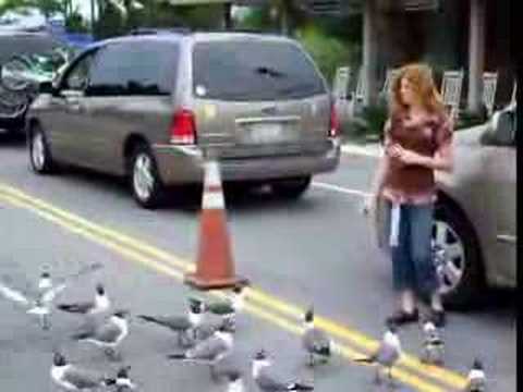 Jennifer Feeding Gulls before the ...