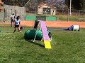 ACSD USDAA Grand Prix ACSD USDAA Grand Prix
