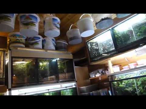 Regenwald-Terrarien - von Udo aus Gladbeck!.