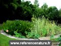 La baignade naturelle La baignade naturelle
