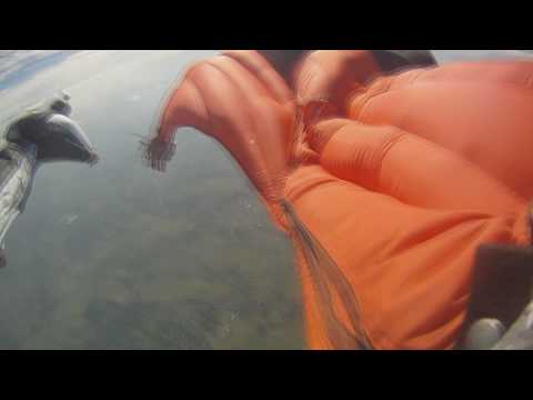 GoPro HD foot cam helmet cam wingsuit byron bay skydive