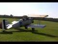 Flying Circus Biplane Rides