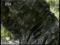 Stalker Promo