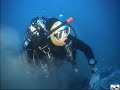 SQUALI ALL'ELBA 2