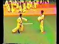 WTF Taekwondo - Master Kytu demo Aarhus 1990