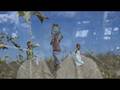 Burke Family Trip - Sumba 2008