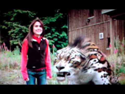 smilodon