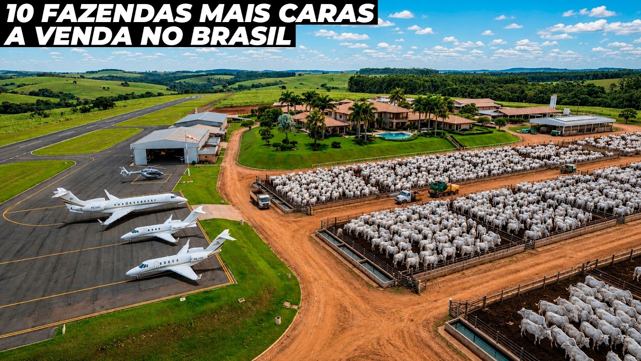 AS 10 FAZENDAS MAIS CARAS A VENDA NO BRASIL EM 2026