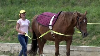 Ryzáček zpříjemnil sobotní odpoledne