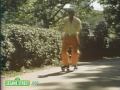 Sesame Street: David Disco Skates