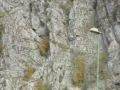 Helitreuillage-Thones.m4v.ff.mov