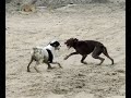 Running Running