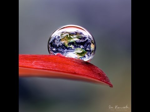 #86 – Don Komarechka – Macro Photography – jpeg2RAW Photo Podcast #86 – Don Komarechka – Macro Photography – jpeg2RAW Photo Podcast