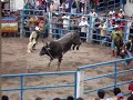 toros en tlapa de comonfort,gro. 13/09/07