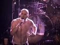 TOOL: Hooker with a penis live