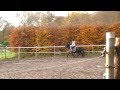 videos de Ik en kaepa galop