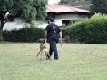 Obediencia