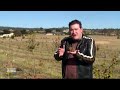 Black Truffles